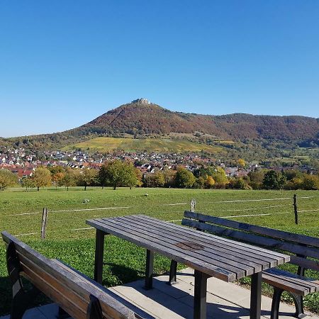 Ferien In Neuffen - Ferienwohnung Plaue Экстерьер фото