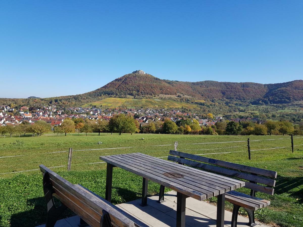 Ferien In Neuffen - Ferienwohnung Plaue Экстерьер фото